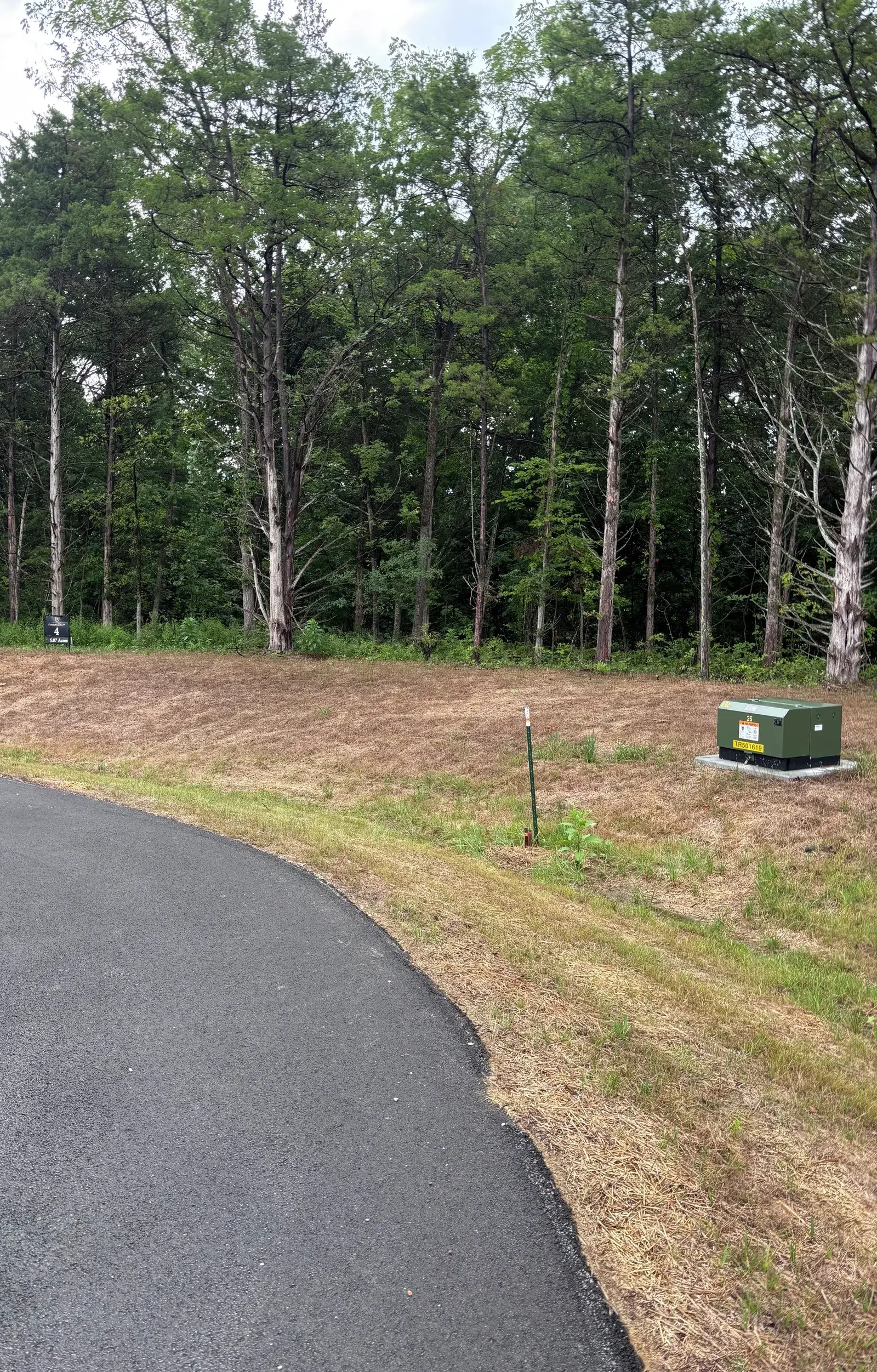 Land Clearing and Forestry Mulching on Michael's property, photo 1 of 12