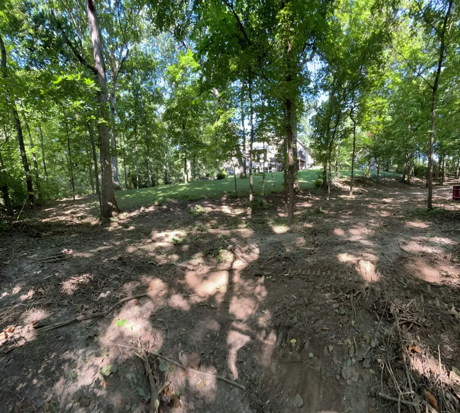 Land Clearing and Forestry Mulching on Michael's property, photo 9 of 12