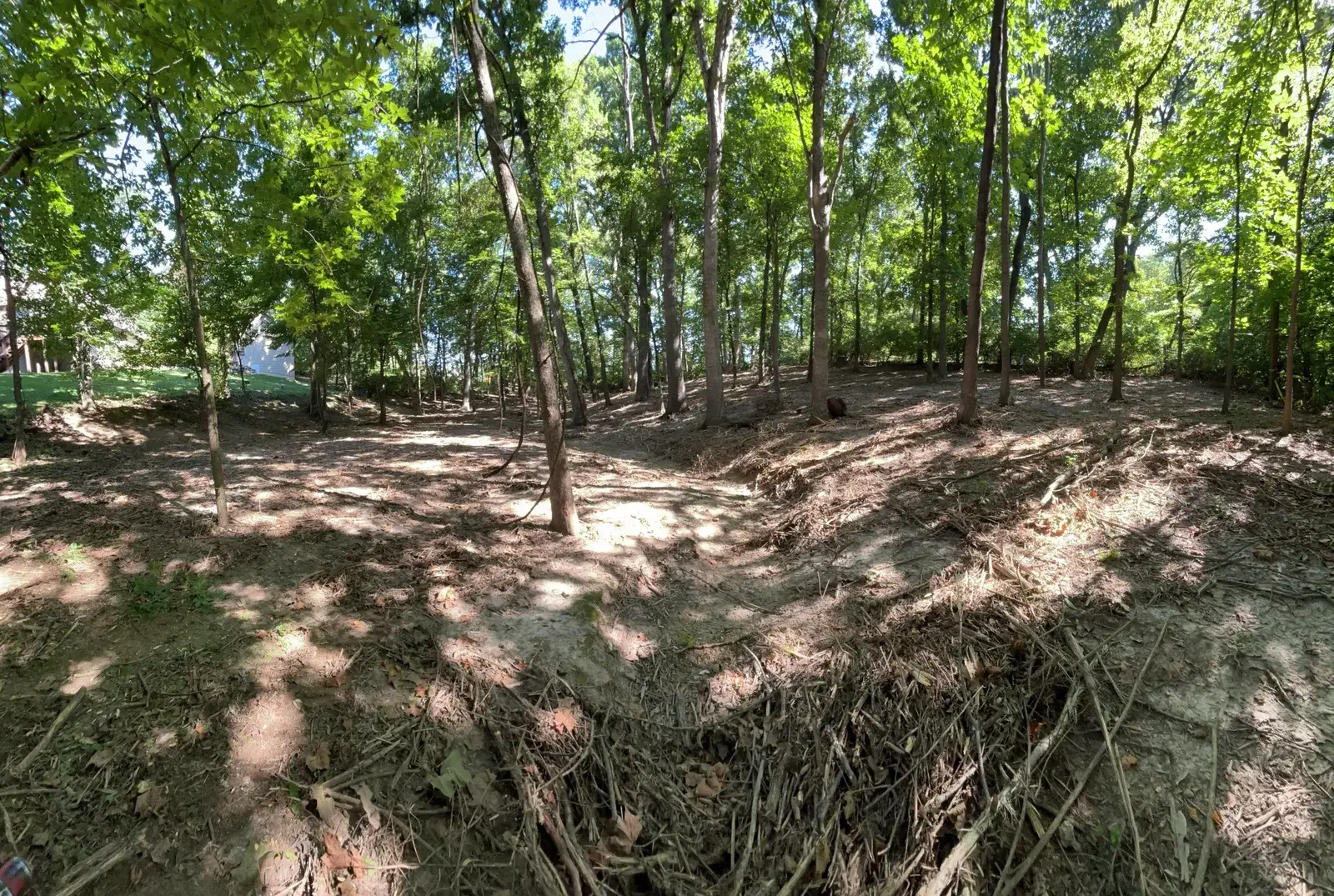 Land Clearing and Forestry Mulching on Michael's property, photo 10 of 12