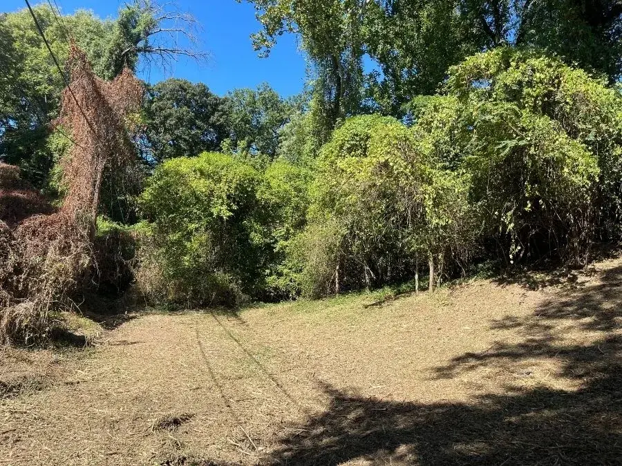 Forestry Mulching after clearing