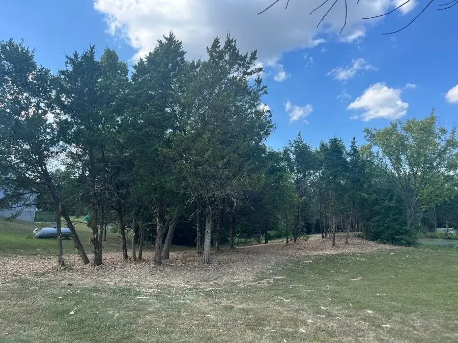 Forestry Mulching after clearing
