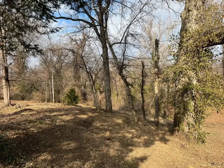 Forestry Mulching after clearing