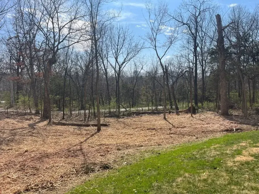 Forestry Mulching after clearing
