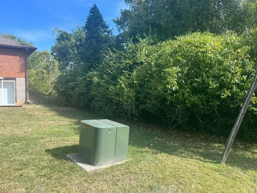 Forestry Mulching before clearing