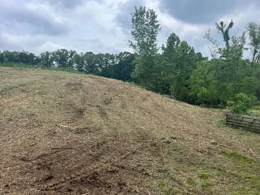 Land Clearing after clearing