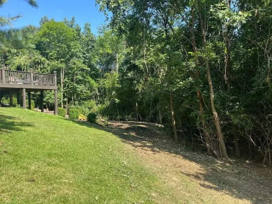 Land Clearing after clearing