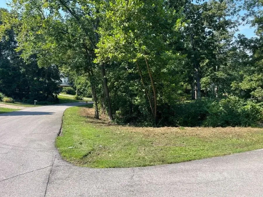 Land Clearing after clearing