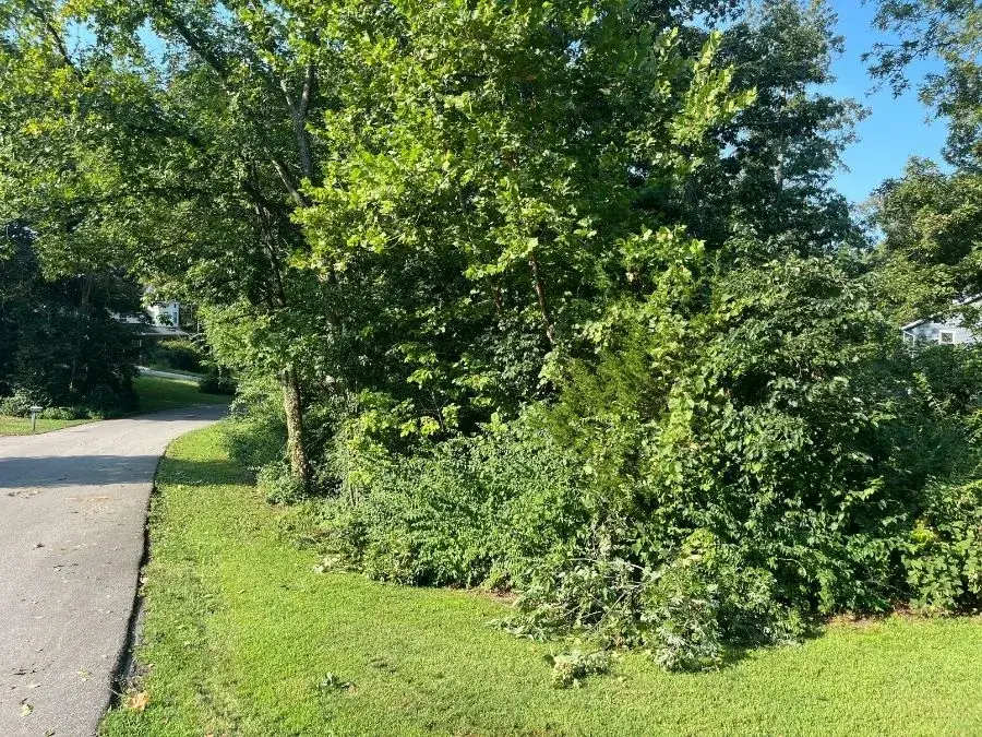Land Clearing before clearing