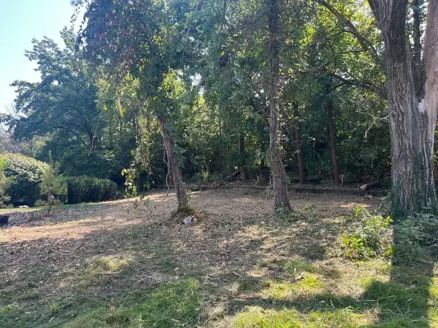 Land Clearing after clearing