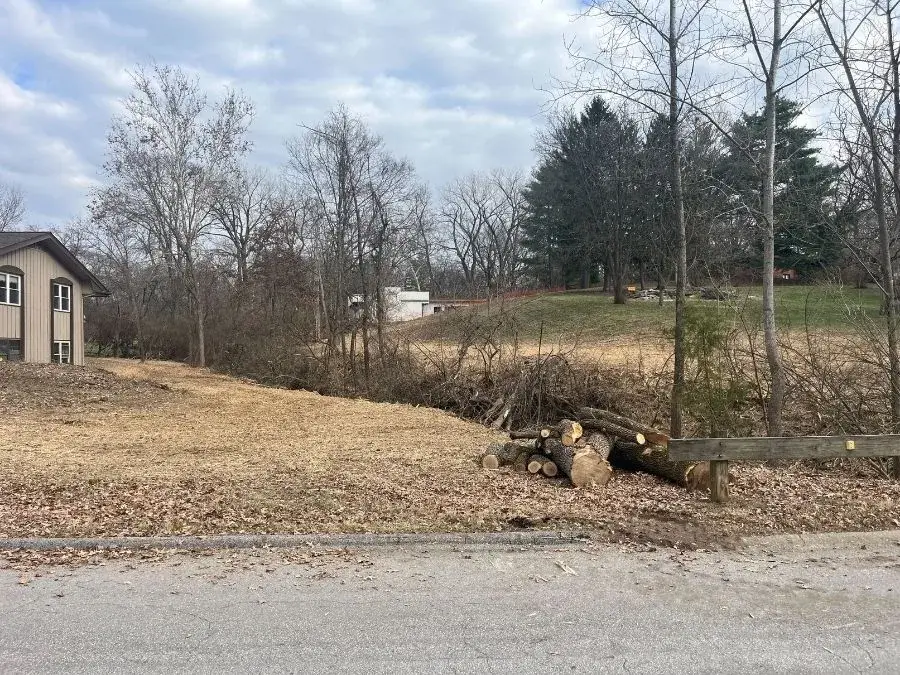 Land Clearing after clearing