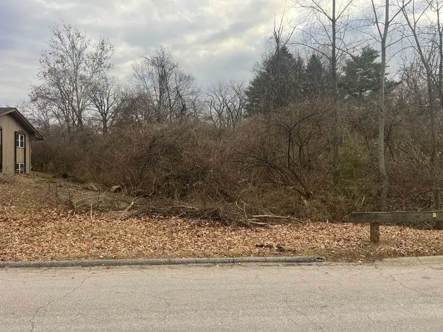 Land Clearing before clearing