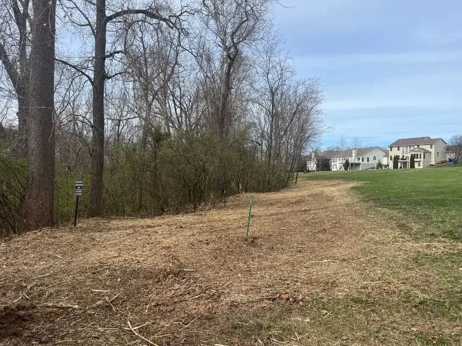 Land Clearing after clearing