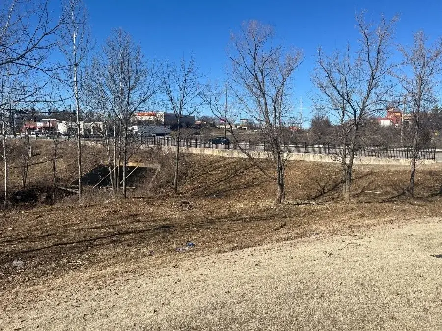 Land Clearing after clearing