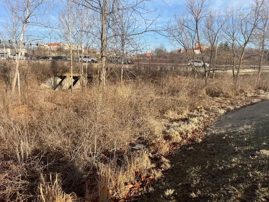 Land Clearing before clearing
