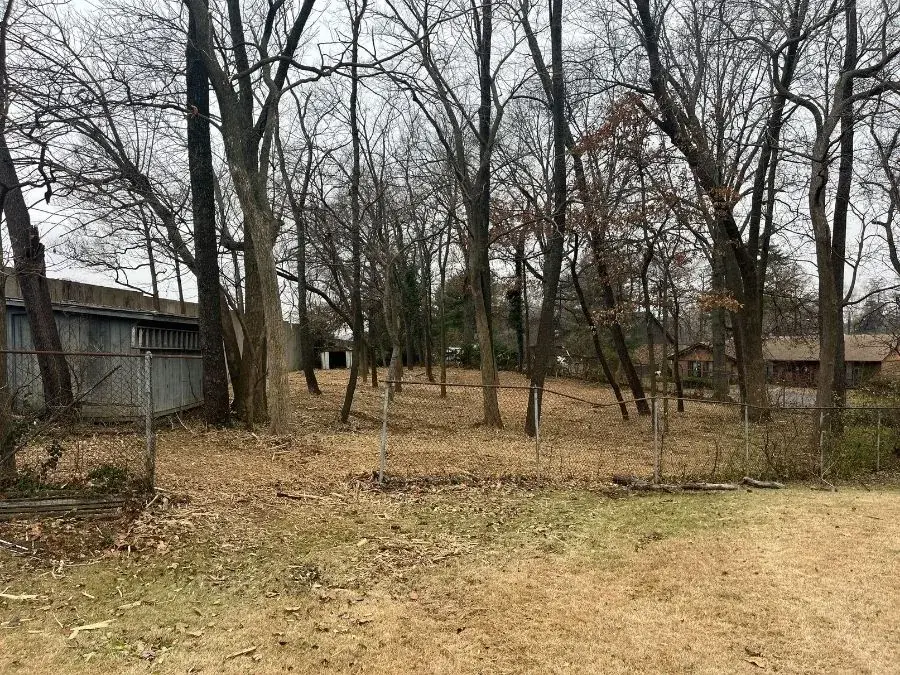 Land Clearing after clearing