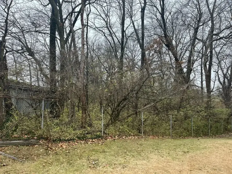 Land Clearing before clearing