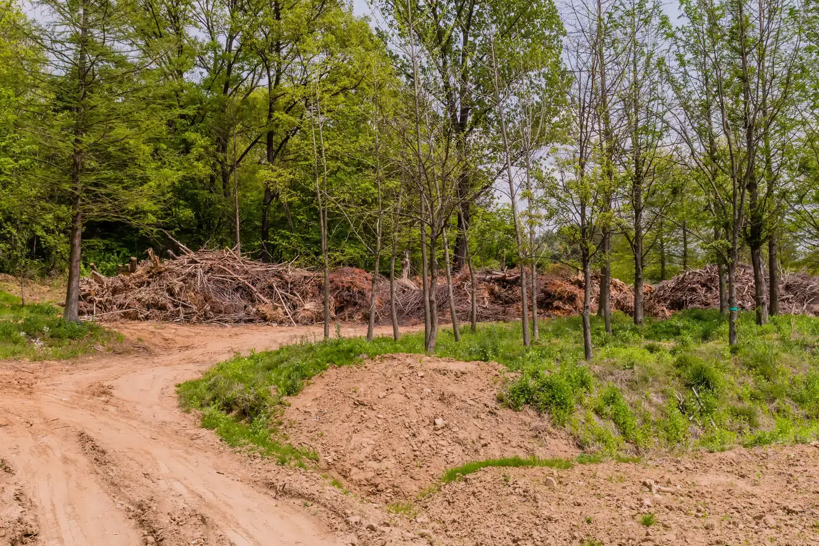 New Construction Clearing by TriTerra LLC