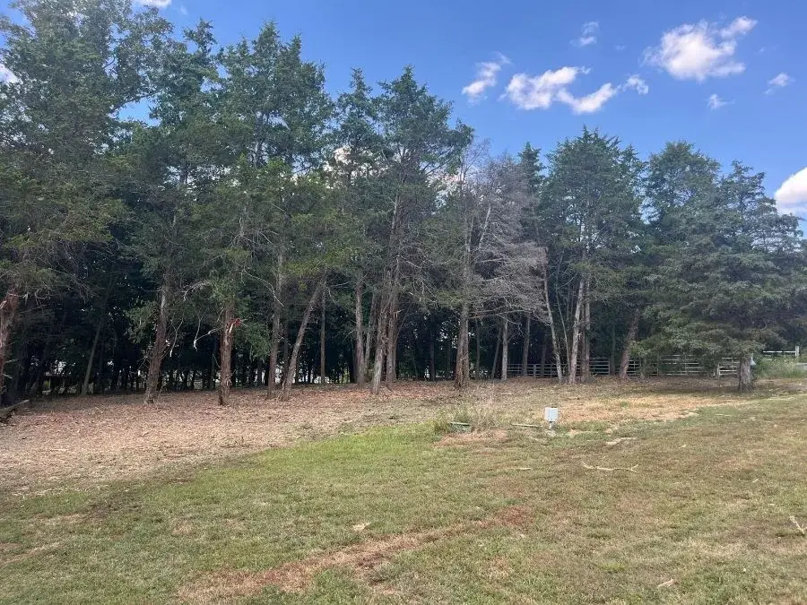Property Line Clearing - a recent St. Louis metro project after clearing