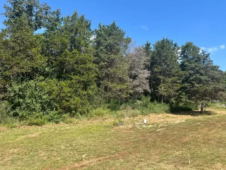 Property Line Clearing - a recent St. Louis metro project before clearing