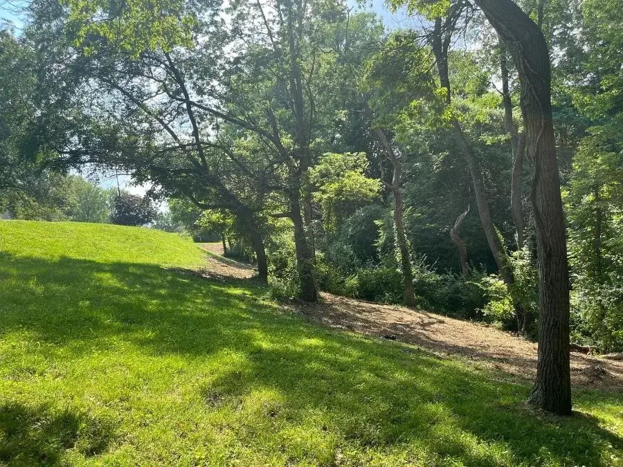 Property Line Clearing after clearing