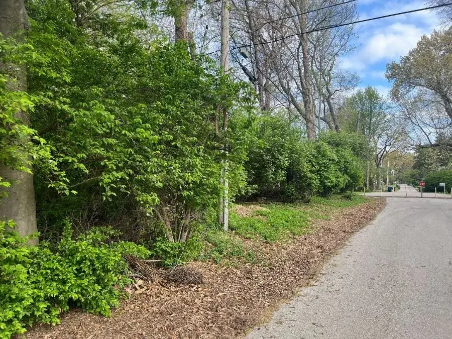 Right of Way Clearing before clearing