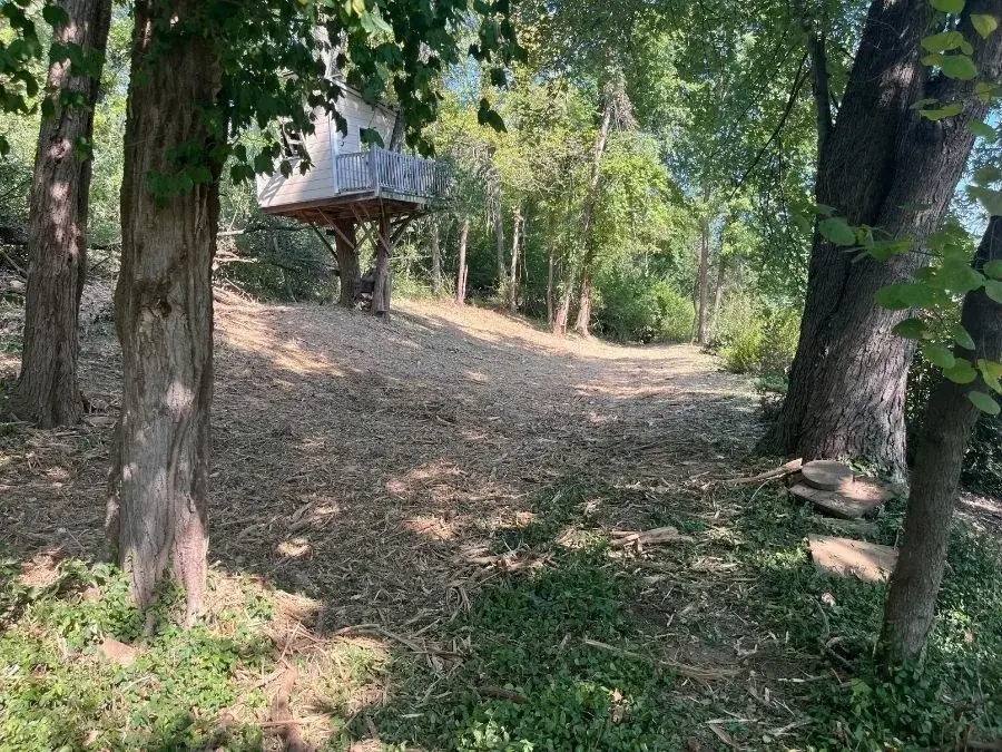 Trail Clearing - a recent St. Louis metro project after clearing