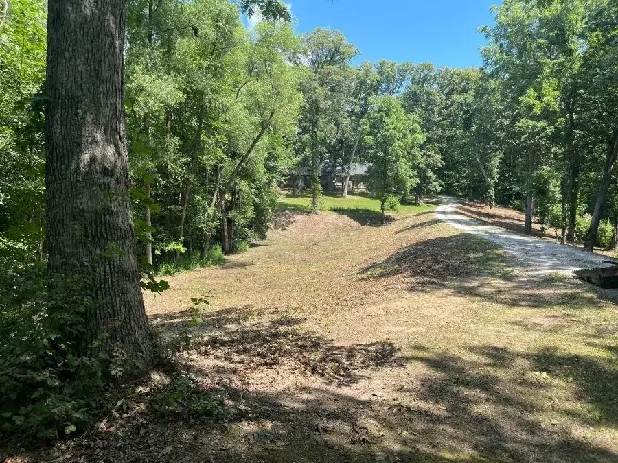 Trail Clearing after clearing
